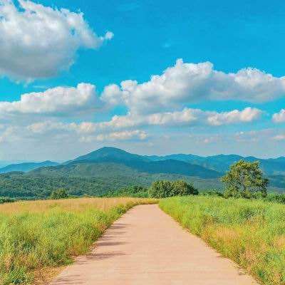 凤凰彩票app下载官网下载安卓