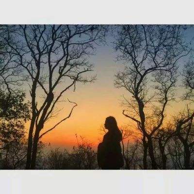 开元棋脾app下载