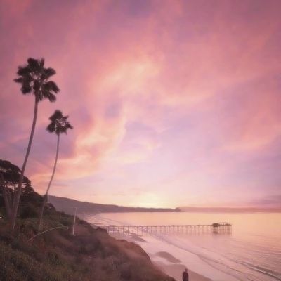 49图库一资料中心app下载