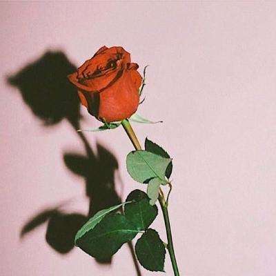 澳门mgm娱乐官网app下载