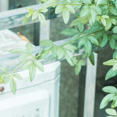 助赢软件app下载