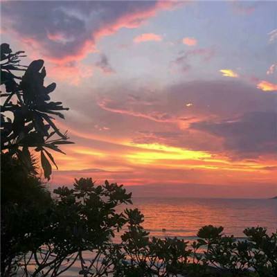 电玩城金鲨银鲨app下载截图